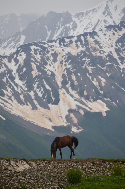 DSC_0037_18.06.18_07.25.18