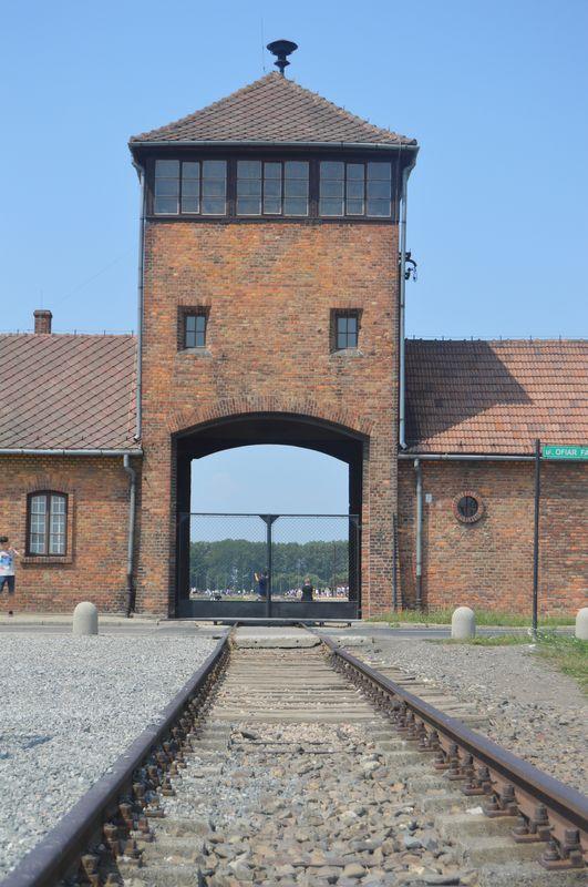Image11