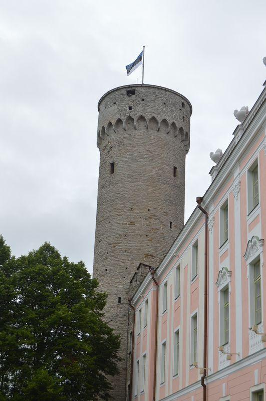 Image31